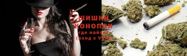 ПСИЛОЦИБИНОВЫЕ ГРИБЫ Осинники