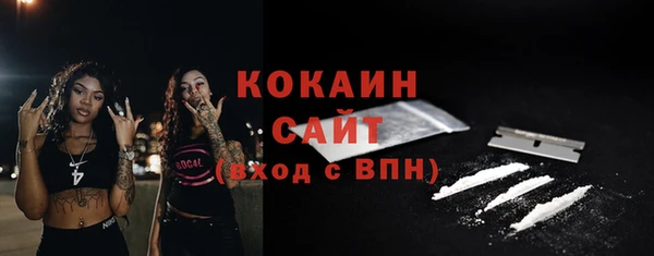 ПСИЛОЦИБИНОВЫЕ ГРИБЫ Осинники