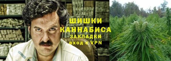 ПСИЛОЦИБИНОВЫЕ ГРИБЫ Осинники