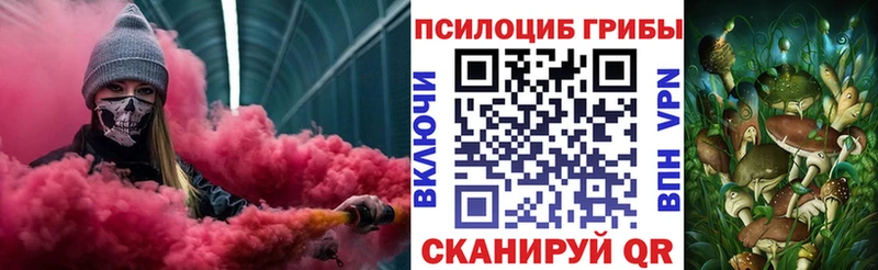 наркотики  Юрьев-Польский  Псилоцибиновые грибы Psilocybe 